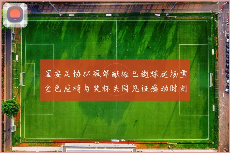 国安足协杯冠军献给已逝球迷杨雪金色座椅与奖杯共同见证感动时刻
