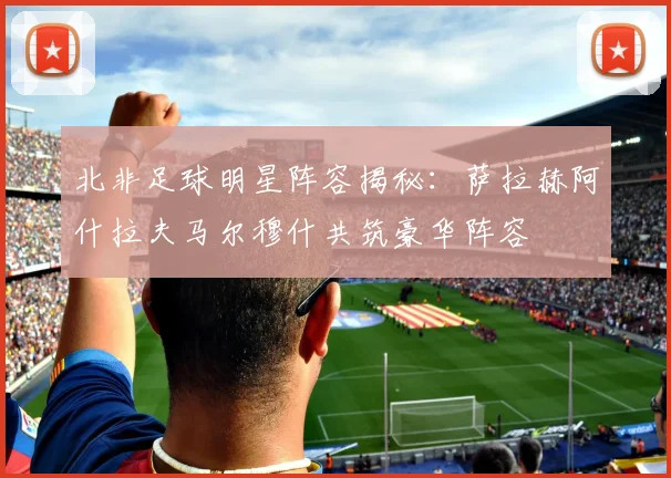 北非足球明星阵容揭秘：萨拉赫阿什拉夫马尔穆什共筑豪华阵容